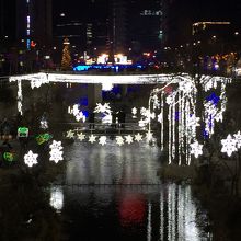 寒さ？知らない？ゆっくり鑑賞。