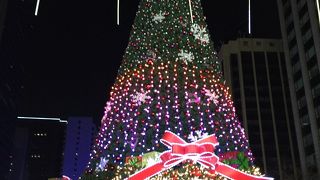 昨年のランタン祭りより良かった♪♪！