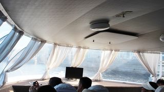 ペテルゴーフへの移動に最適でした。