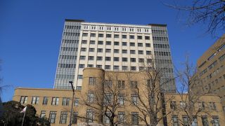 高層棟と低層棟が調和されています