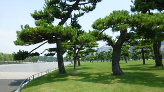 濠で囲まれた緑あふれる広場です！