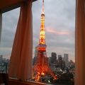 東京タワー、綺麗です。