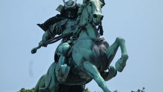 力強さを見ることができます！