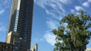 公園の芝に寝転んで見上げたとき、風景が異国のように感じられます