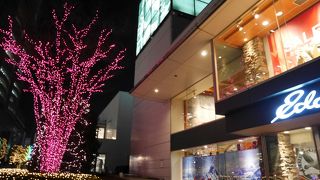 サザンテラスに面した路面店です