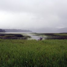 浅潮湿原からの尾瀬沼