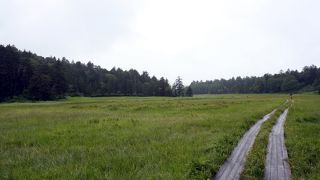 最高のハイキングコースです