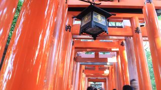 伏見稲荷の名物スポット