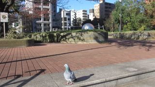 「はと」がいました