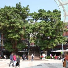 下から建屋を望む