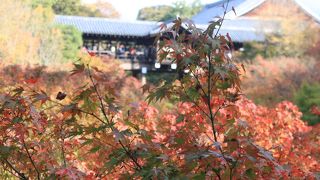 東福寺の本堂に続く橋