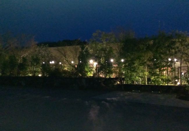 梅の花 奈良店 クチコミ アクセス 営業時間 奈良市 フォートラベル 梅の花 奈良店 クチコミ アクセス 営業時間 奈良市 フォートラベル