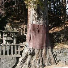 国道にせり出しています