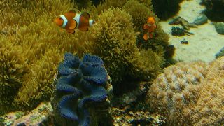 モノレールで移動できます