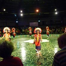 音楽に合わせて民族舞踊が見られます