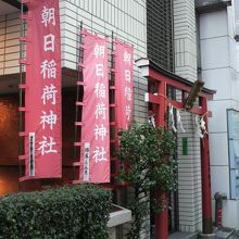 朝日稲荷神社の赤い幟が並ぶ先に、朝日稲荷神社の鳥居があります