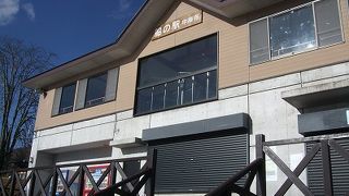 人が少ない冬は中宮祠の前、それ以外は西の菖蒲ヶ浜