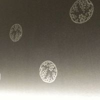 可愛らしい壁紙