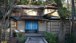 落ち着いた雰囲気の中でお抹茶体験