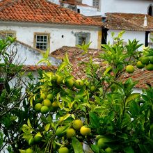 素晴らしい風景が。