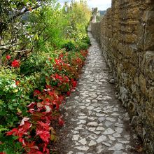 意外と城壁は狭いです。