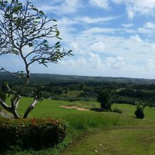 山の中のコースです