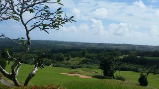 アットホームなスタッフ