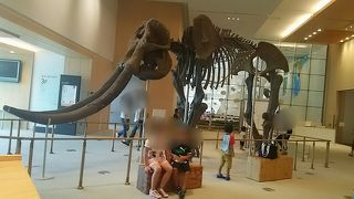 津の新観光スポット