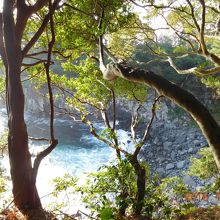 海が見えます！