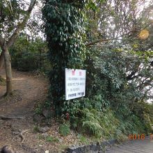 左が林間コース、右が海岸コース