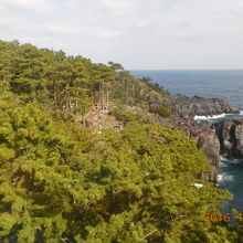 灯台からの景色