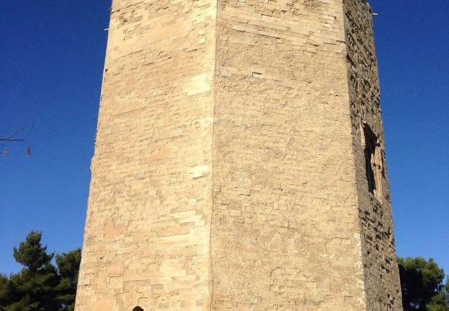 フリードリッヒ王は高いところがお好き