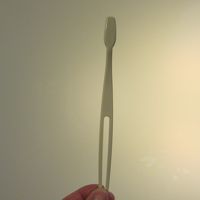 茶柱の様な枝のブラシ