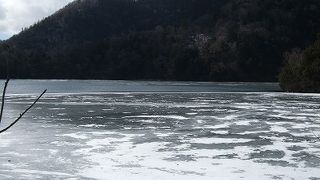 冬でも湖水が完全凍結しないのに驚き！