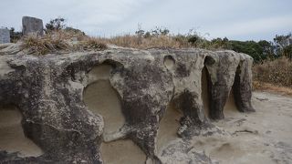 1周2300mなのでちょうどいい散歩コースです