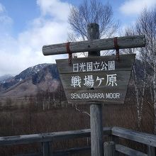 展望台から、湿原、遠くの山々、白樺の木などを見晴らせます