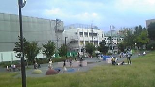 広くて気持ちの良い公園