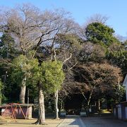 流山という地名の由来