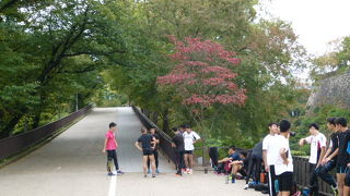 ちょっときつい、運動に最適な坂道です！