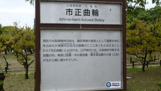 屋敷跡には綺麗な梅の花が咲きます！