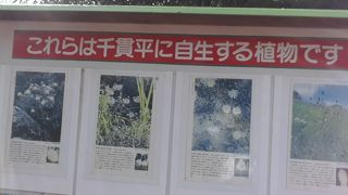 展望しました。