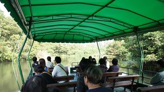 沖縄の森とランの自然植物園