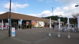 ドッグランで元気してます！