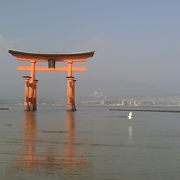 水上に浮かぶ赤鳥居