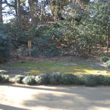 吟花亭跡の標識と周囲の樹々の様子です。木洩れ陽がさす場所です