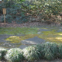 吟花亭跡の様子を近寄って見ています。苔むす表面が確認できます