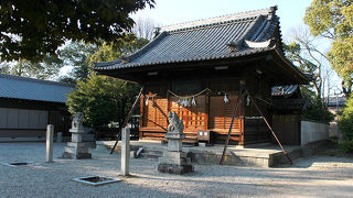 猫いなかった…寂しい神社