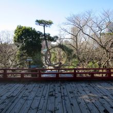 舞台目の前には「月の松」 