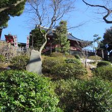 舞台に立ち入ることができず、御堂正面の撮影は…