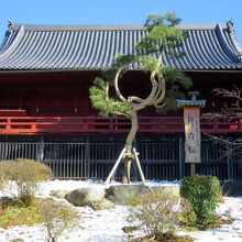 これが限界でした